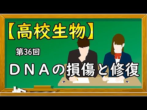 高校生物【第36回 DNAの損傷と修復】オンラインで高校授業