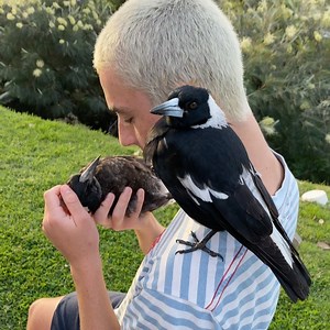Penguin Bloom on Instagram: "The massage therapist."