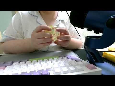 スクイーズを触りながらおしゃべり