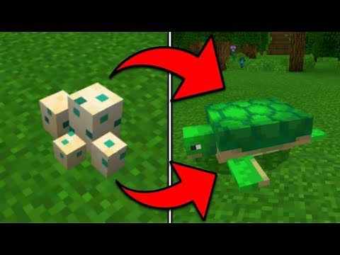How To Hatch a Turtle Egg in Minecraft Pocket Edition (1.5+)