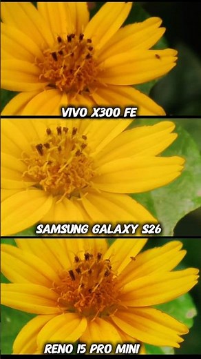 Oppo Reno 15 Pro mini vs ViVO X300 Fe vs Samsung Galaxy S26 Photography Test Camera real life test