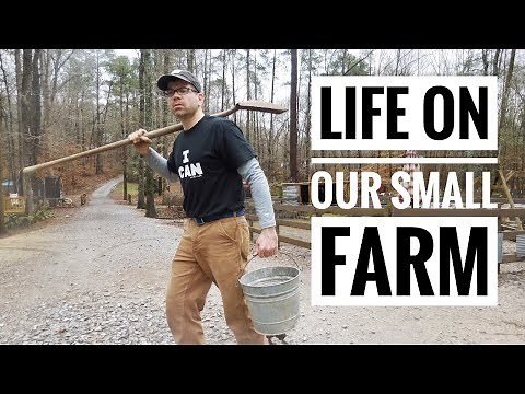 What a Day on Our Small Farm is Like (FARM CHORES)