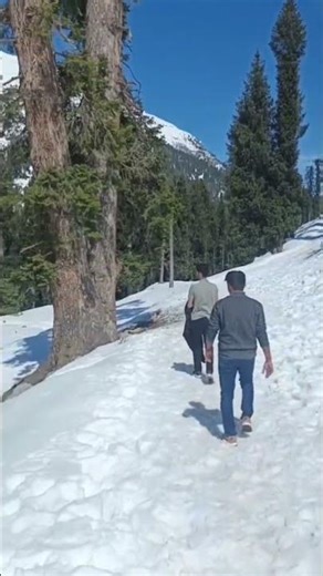 northern area Pakistan #subscribe #ducklingspro #youtubeshorts #duck