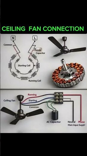 Ceiling Fan Coil Connection.#ceilingfan #fans #induction #motor #capacitorconnection