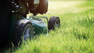From mowing height to how often to water, here are 4 lawn care tips for the spring