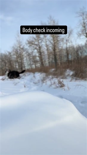 Bunsen, Beaker, Bernoulli & Brix on Instagram: "Have you ever been body checked from Christmas Eve back to October?"