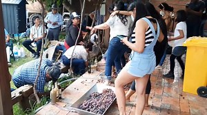 495K views · 7.3K reactions | #Cochabamba El fin de semana, se realizó la primera vendimia en el viñedo El Campanario, en Sipe Sipe. Los amantes del vino se dieron cita en el lugar y pisaron las uvas al ritmo de bandas musicales. www.opinion.com.bo  IVÁN CAMACHO/RKP/ERBOL | Opinión Bolivia | Facebook