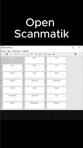 How to change language on Scanmatik software ?