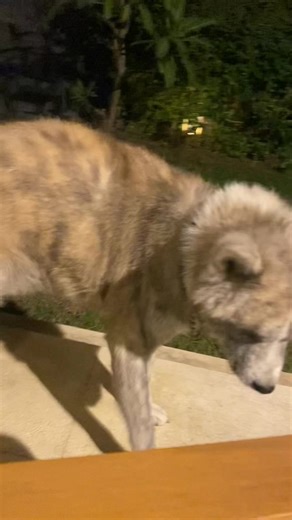 ‏#fyppppppppppppppppppppppp #cs #programming #coding #hexadecimal