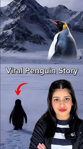 Creepy Lonely Penguin Strange Story #shorts #creepy