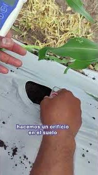 Proain supporting future agronomists