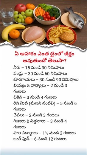 How Long Does Food Take to Digest? | Complete Digestion Time Chart Explained