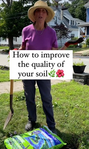 I find myself recommending adding compost to almost everyone I work with because their soil could use it. Healthy soil is the best thing you can do for your plants and if yours aren't thriving, I would consider adding some. Compost is partially decomposed organic matter. You can also add cow manure, grass clippings, leaves, stems, small twigs, etc. When I cut back perennials I often tuck the clippings under the plants where you can't even see them (this is referred to as "chop and drop"). Think 