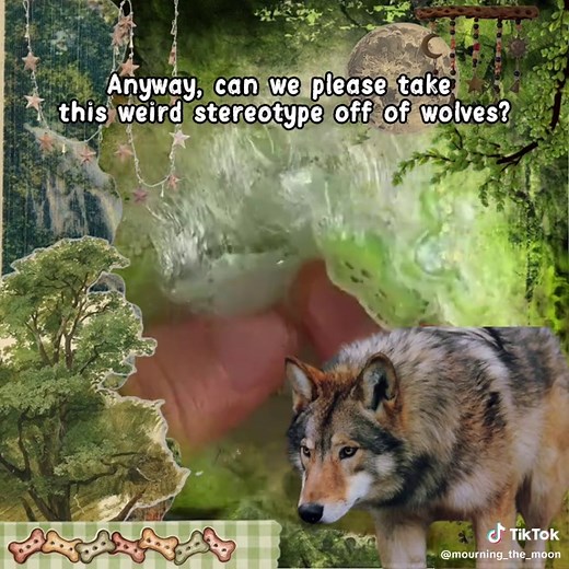Understanding Wolves: Fascinating Facts and Insights