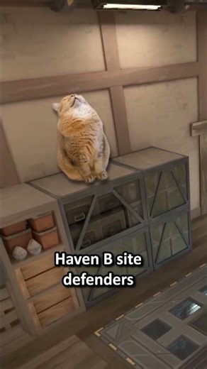 5 Simple Tricks to INSTANTLY Improve Your Coding Skills