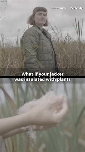 EcoMedy | What if puffer jackets were insulated with plants instead of feathers or plastic? . @ponda.bio is using bulrush from restored wetlands to... | Instagram