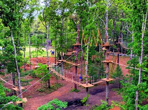 457K views · 3.5K reactions | Long Island's First and Largest Aerial Forest Adventure. Great fun for the whole family. | The Adventure Park at Long Island | Facebook