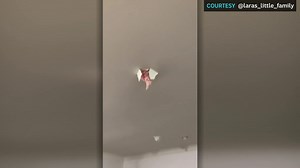 Giant hailstones rip into one family's living room