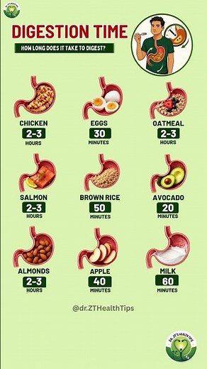 How Long Food Stays in Your Stomach? Digestion Times Explained | Dr. ZT's Health Tips