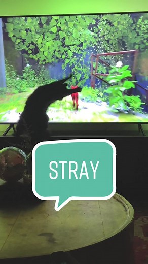Exploring the New Cat Game on PS5