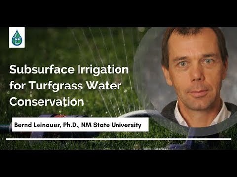 Subsurface Irrigation for Turfgrass Water Conservation - Dr. Bernd Leinauer , Jun 2018