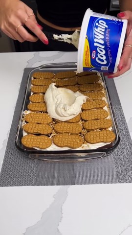 Quick & Easy Ice Cream Cake – Sweet, Simple & Delicious