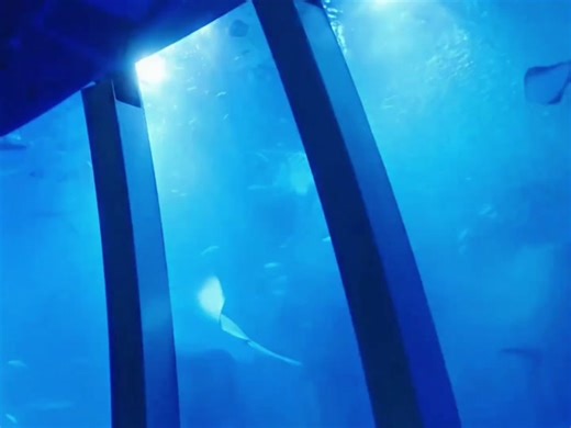 Heartbreaking Japanese Movies: J-Movie Recommendations for Romantics