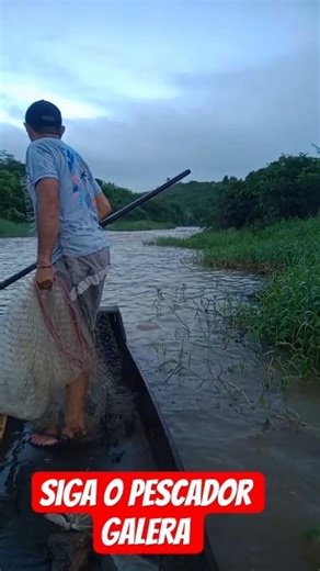 siga o pescador galera #pescaria #peixesamazonicos #music #natureza #comida #pesca #peixe #pescasub