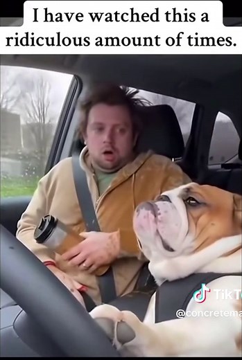 Ridiculous Power Moments: Funny Viral Video Clips