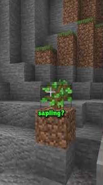 Mobs = INVISIBLE #minecraft