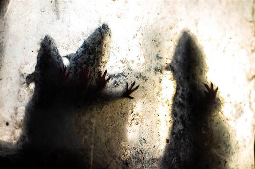 Farmer's Genius Homemade Rat Poison is Easy, Cheap, and Safe for Your Pets