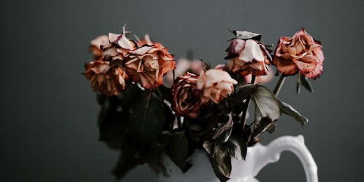 Theology Of Suffering: Definition, Biblical Views, Why It Matters