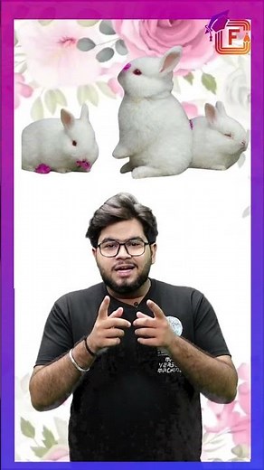 Varnamala Alphabet |हिंदी वर्णमाला |Learn Hindi Words| Hindi Alphabet for Kids