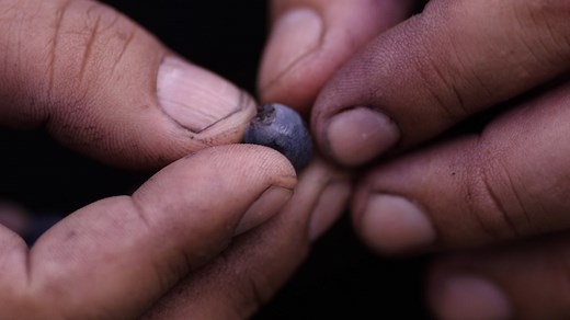 Watch decanted. A Winemaker's Journey Online | Vimeo On Demand