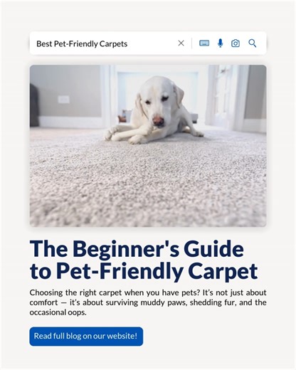 1.6K views | Between paw prints, fur, and the occasional oops, pets put your floors to the test. Good news: there are carpets built to keep up. Check out our beginner’s guide to pet-friendly carpet and see how to choose the perfect fit for your home. https://empire.today/46BK9iH | Empire Today | Facebook
