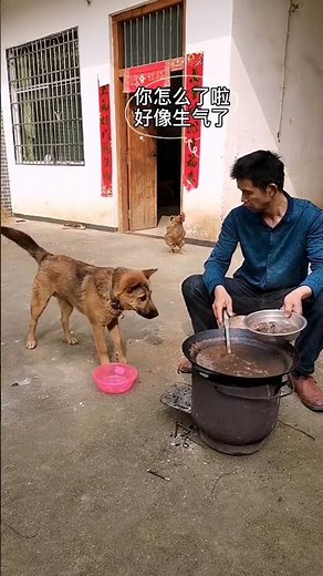 Da Huang is still very smart #pets #adorably #cute