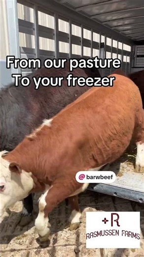 From our farm to your freezer