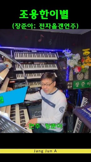조용한 이별. 장준아.전자올겐연주