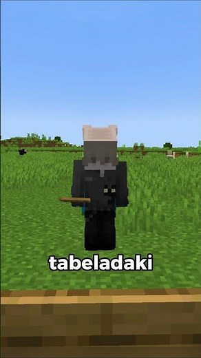 THE TEXT ON MINECRAFT SIGNS IS FLOATING!? ⛏💎