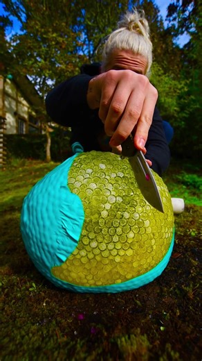 HONEYCOMB ASMR! 🍯🐝 #asmr #asmrsounds #asmrvideo #satisfying #relaxing