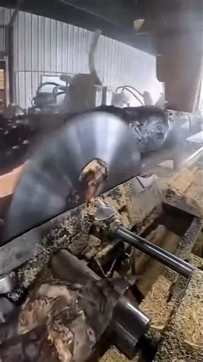 High performance tree trunk cutting machine #shorts #logging #saw