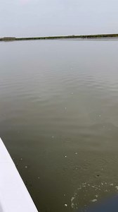 Fishing w/ Capt. Charlie 🎣 | Hold The Mayo