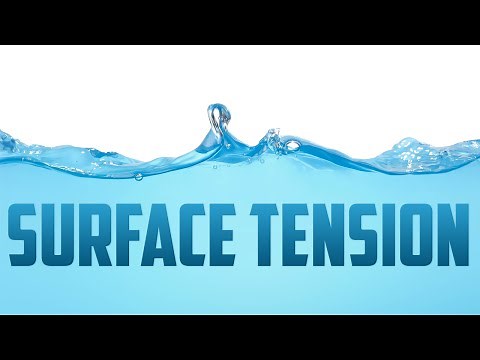 How does Surface Tension work?