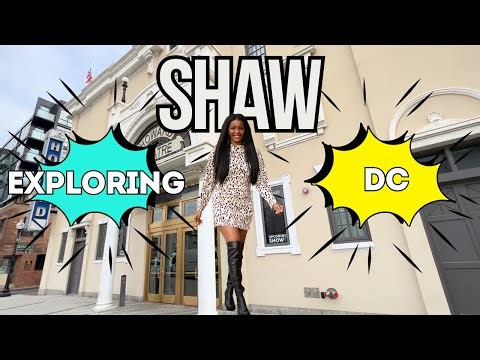 Shaw DC Neighborhood Tour | Living in Shaw Washington DC 🏡 | Howard Theater + 9th Street DC Vibes 🎶