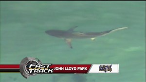 SHARKS! 7SkyForce HD was over John U. Lloyd State Park when at least 15 sharks were spotted offshore. Story: http://wp.me/p7sXFF-12q9 | WSVN-TV