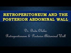 ANATOMY OF THE RETROPERITONEUM & POSTERIOR ABDOMINAL WALL