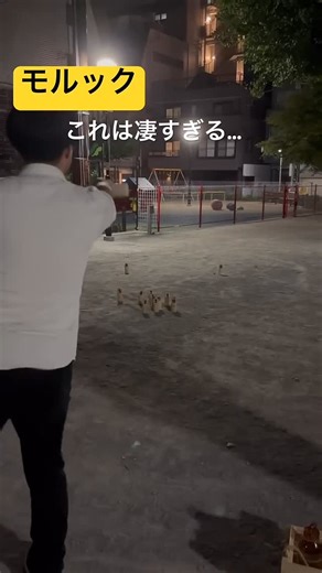 柳川クリエイト モルック部 on Instagram: "#モルック #mölkky #molkky モルック練習動画！バックスピン。"