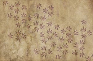 History of Cannabis | Videos
