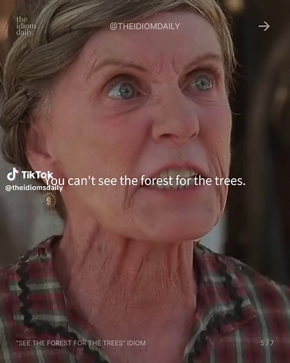 Understanding the Idiom 'See the Forest for the Trees'