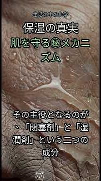 53. 【科学】乾燥肌はもう終わり！💧保湿クリームが肌を「守る」驚きの仕組みとは？🧪 #保湿クリーム #閉塞剤 #湿潤剤 #乾燥肌 #スキンケア #美肌 #肌荒れ #科学 #美容 #皮膚